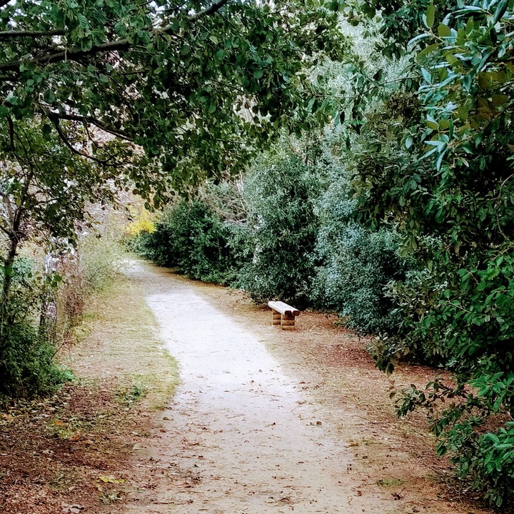 Autum