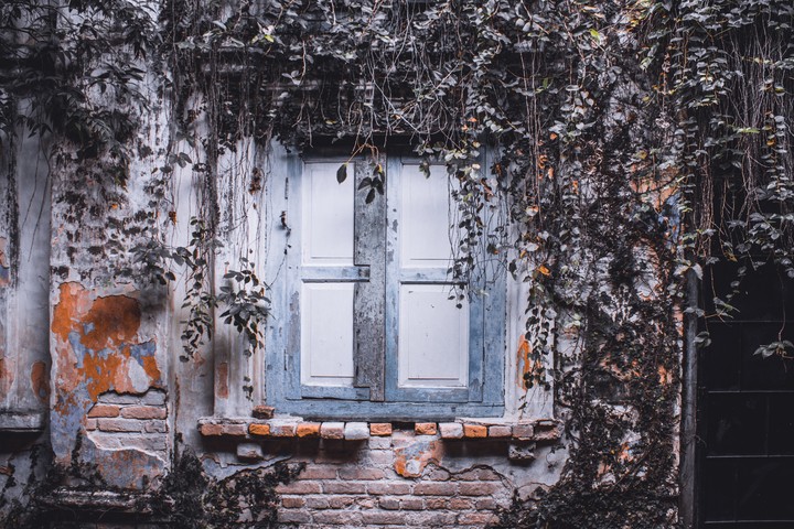 window