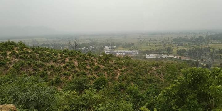 green city