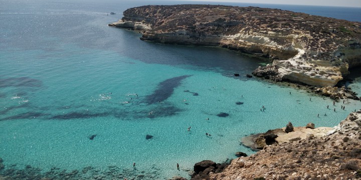 mare