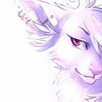 коти воители