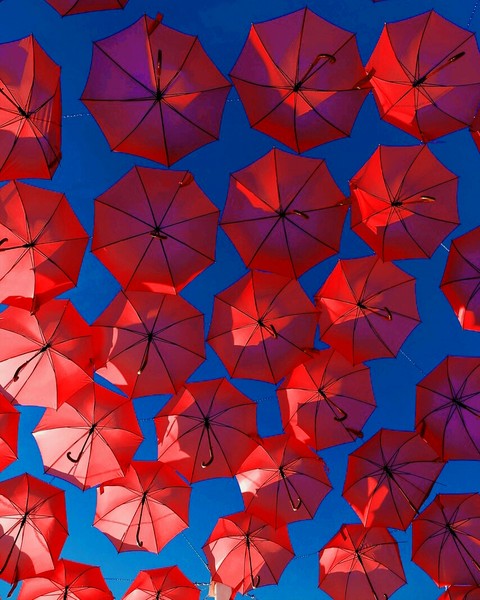sfondi flower, pattern