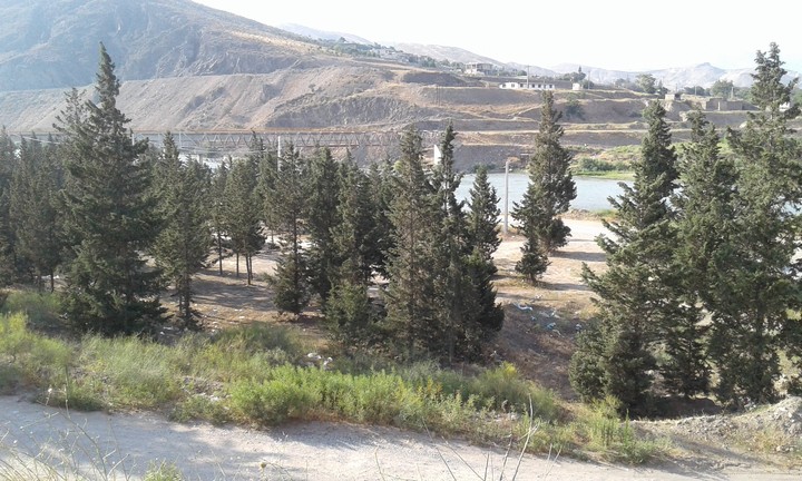iran