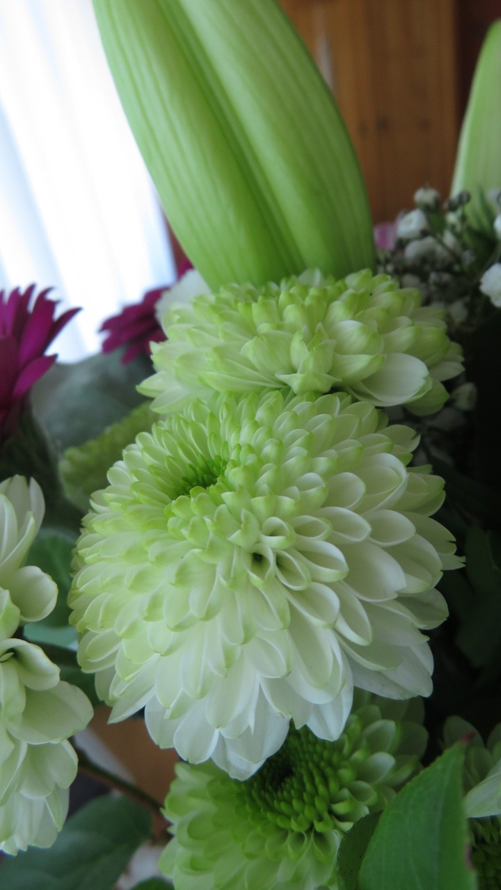 flowers