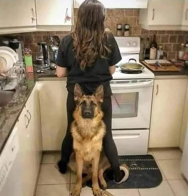 ♥♥