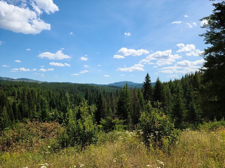 Rocky Mountain Landscape