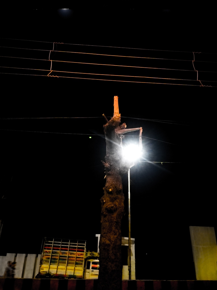 random things at night