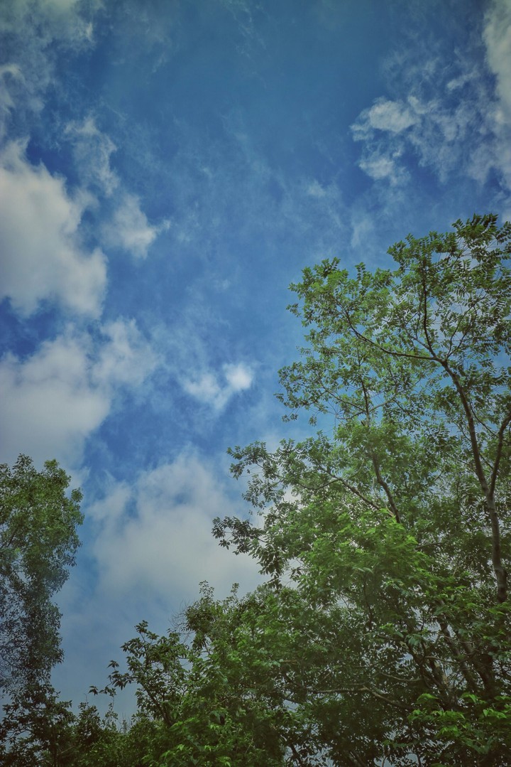 sky