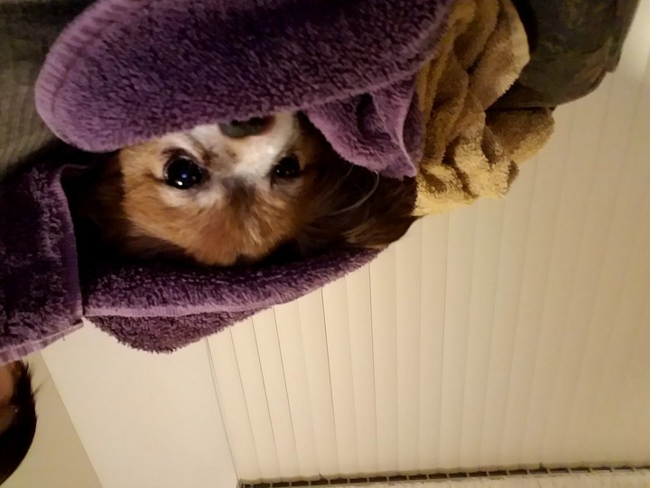 Monthly Bath