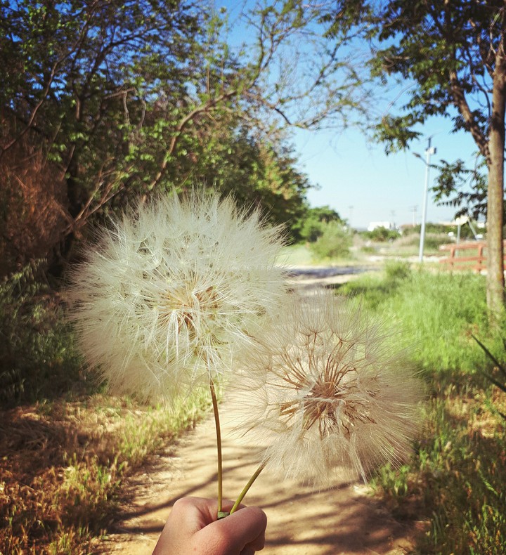 ~ Make a wish and make it happen! ~