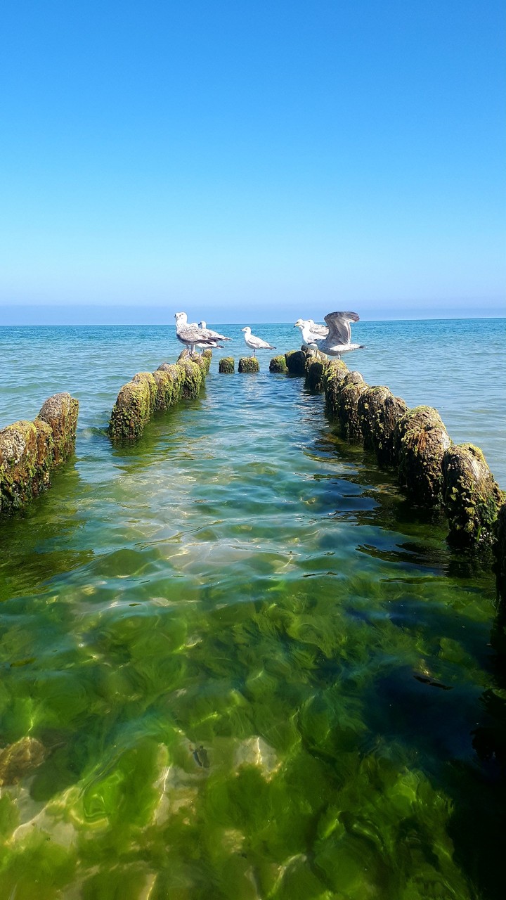 Sea Baltyckie