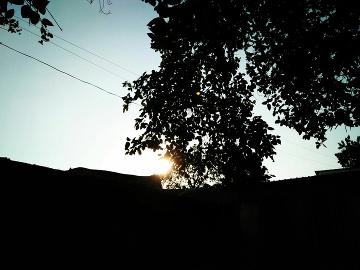 sun