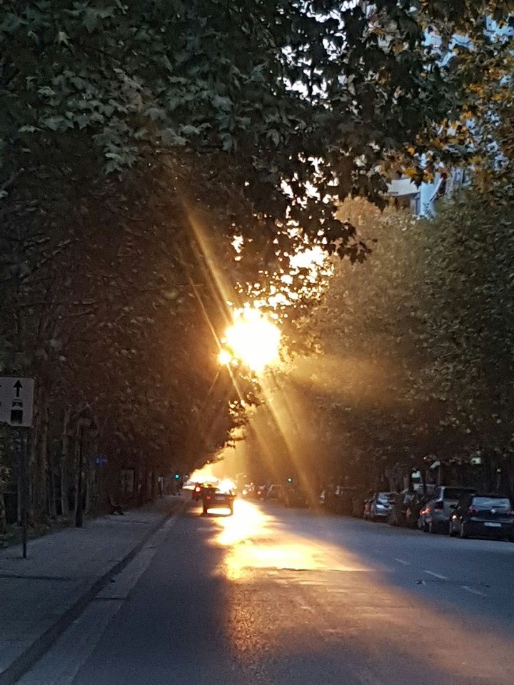 light gate