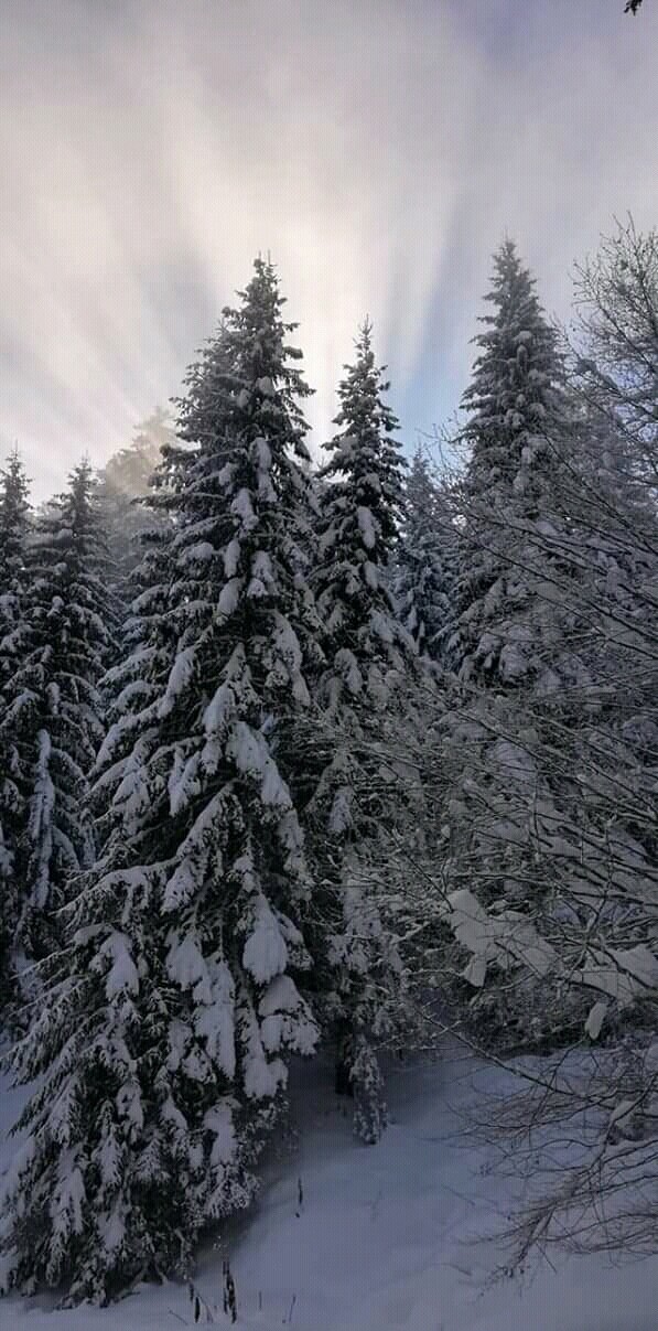 winter