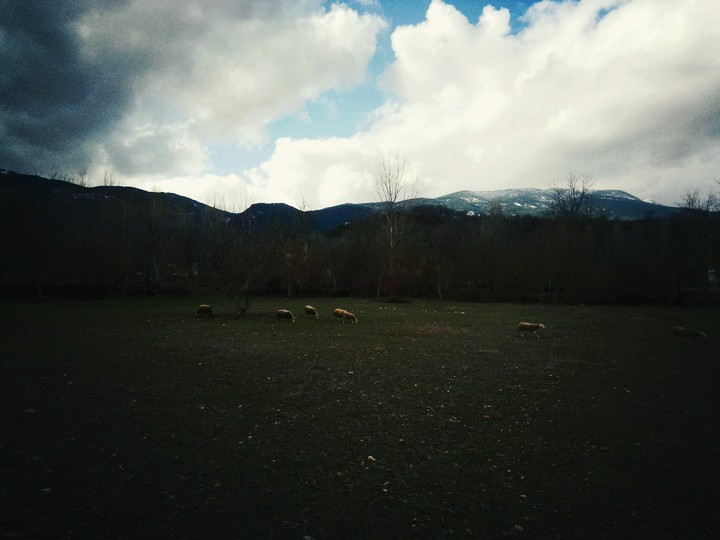 Simav Dağı\Kütahya