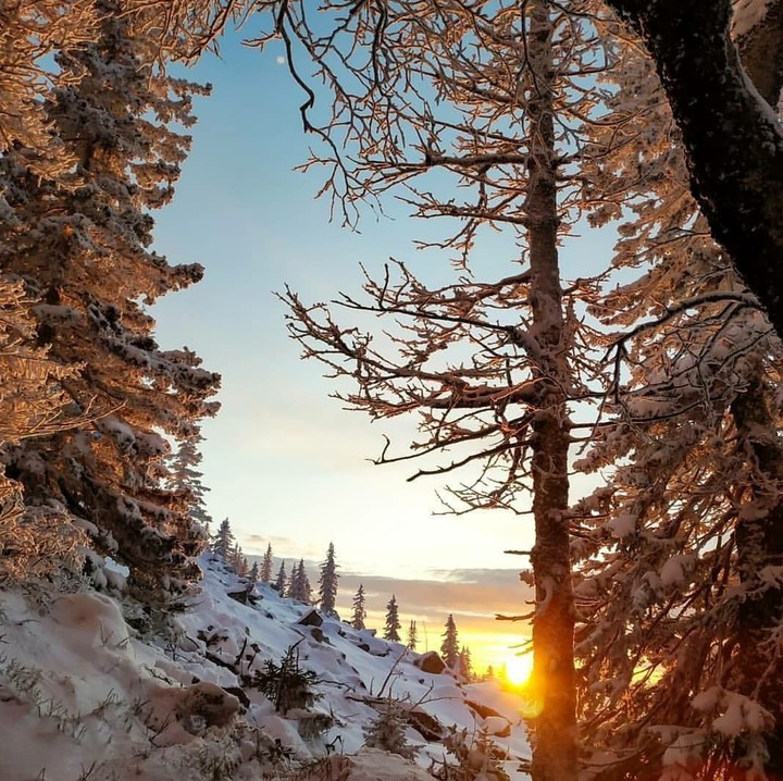 Nature in Russia