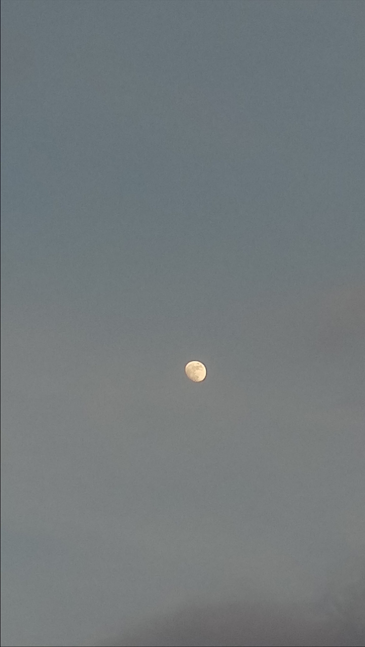 moon