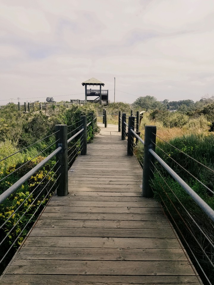 Pathway