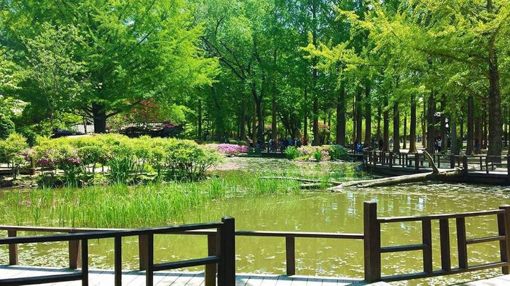 peaceful background