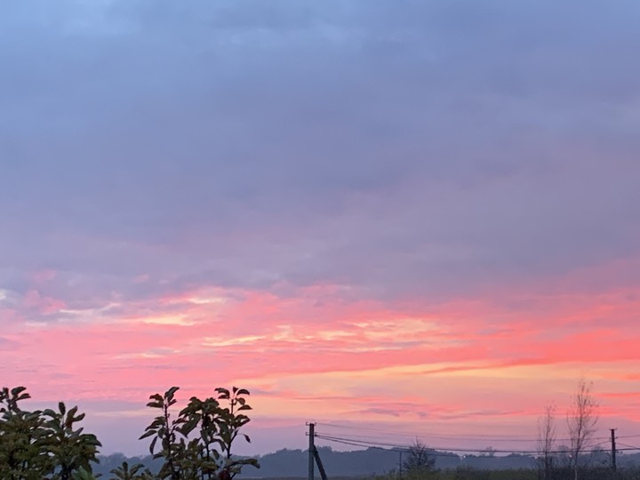 purple