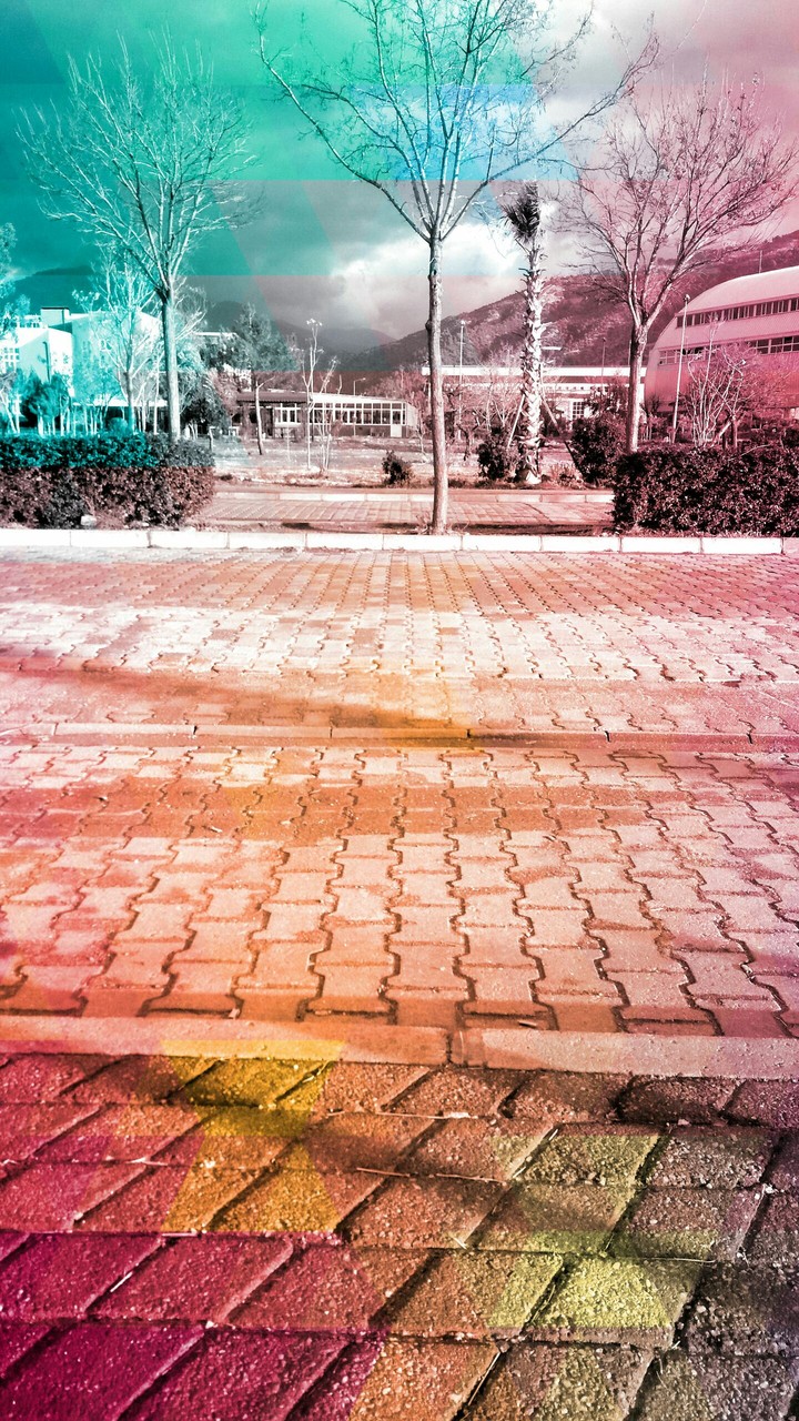 street