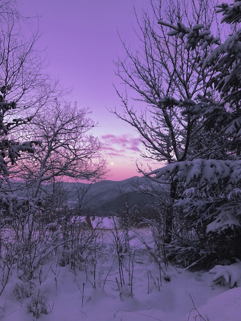 purple snow landscape