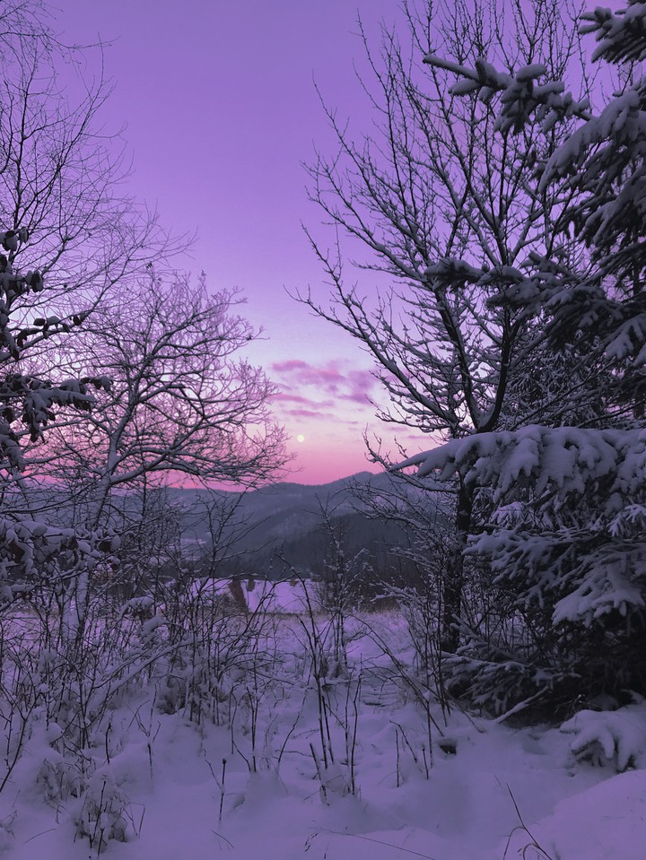 purple snow landscape