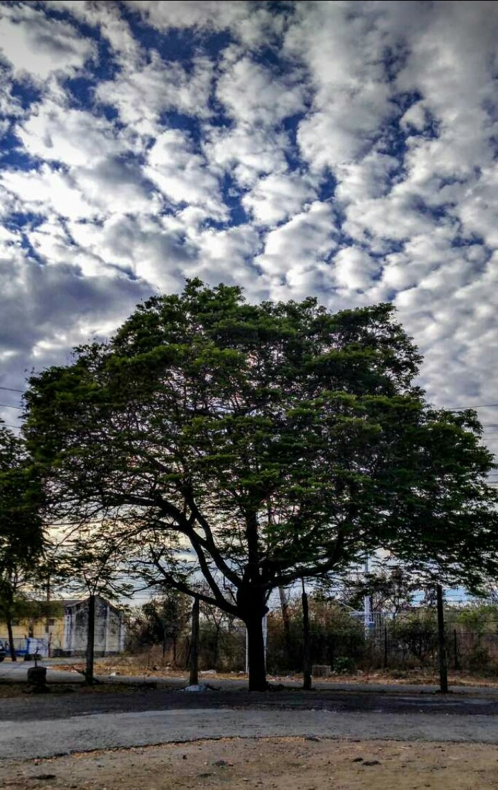 scattered cloud