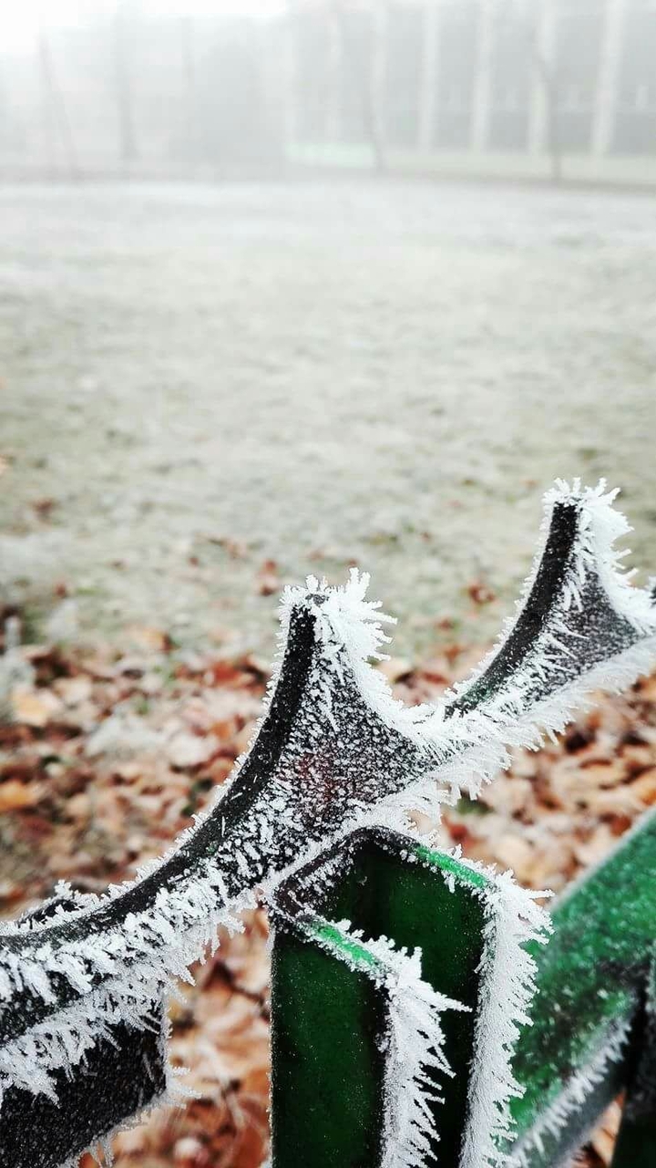 Cold