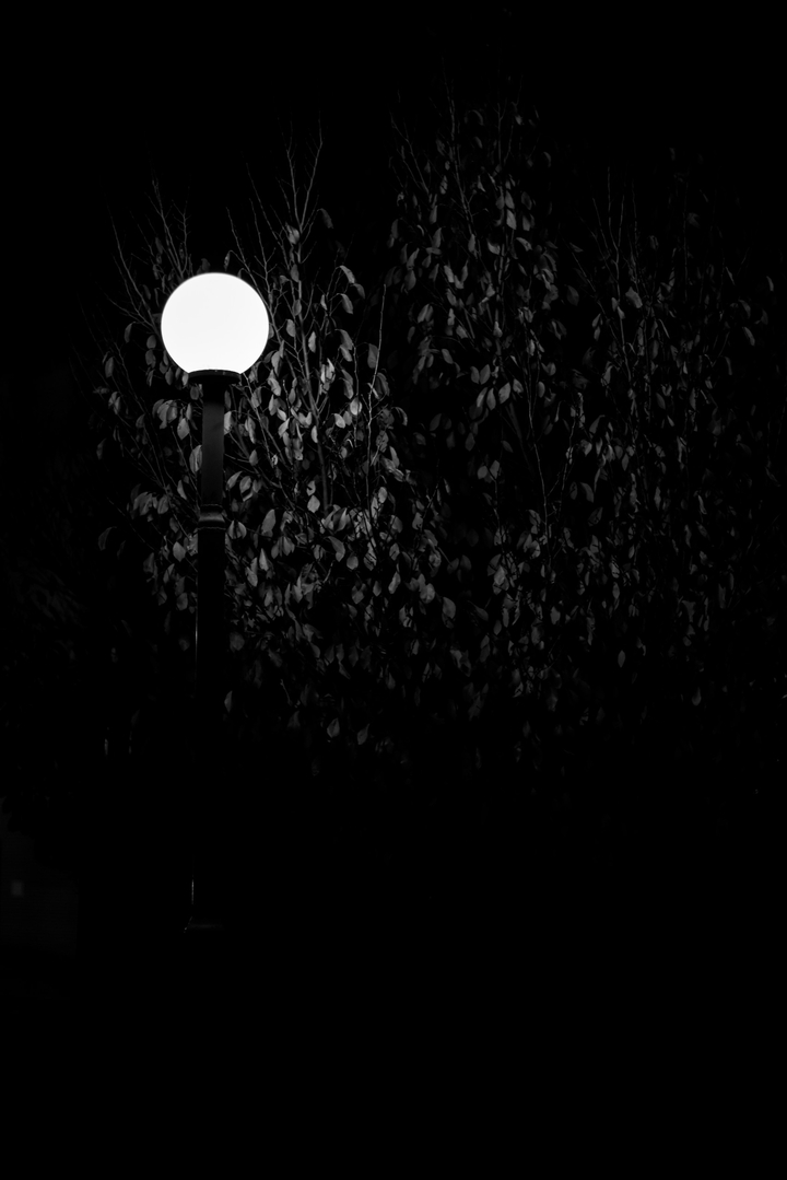 bulb light