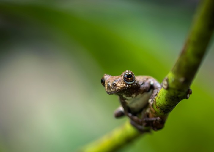 looking you