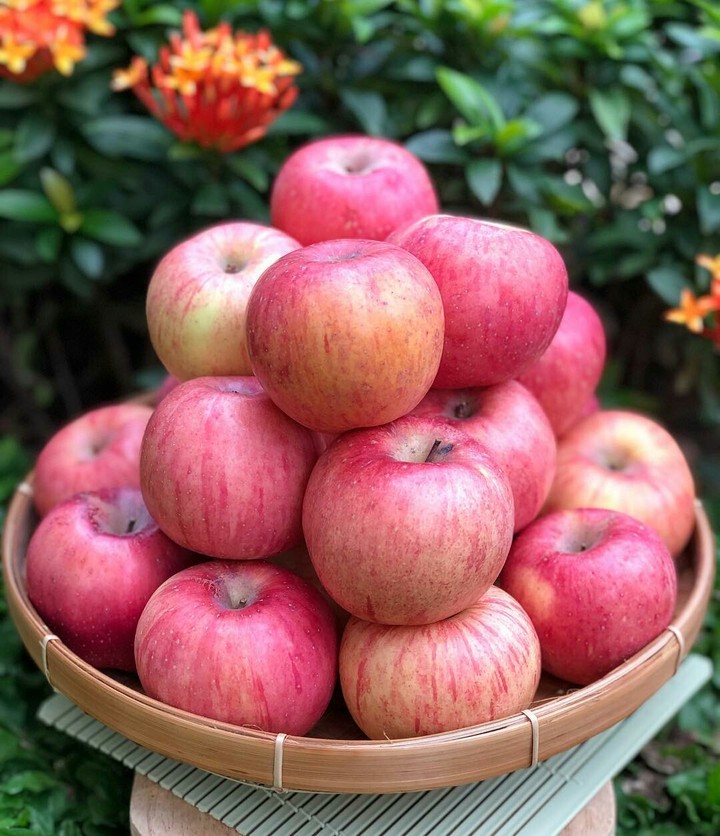 Fruit