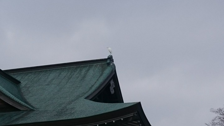 千歳神社の社務所と白鷺