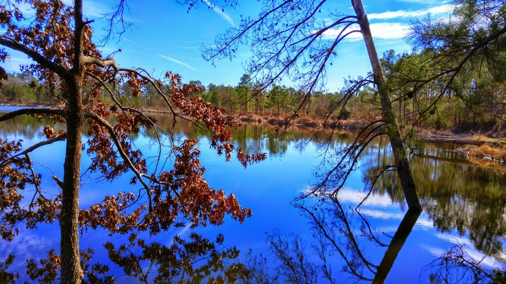 Lake View