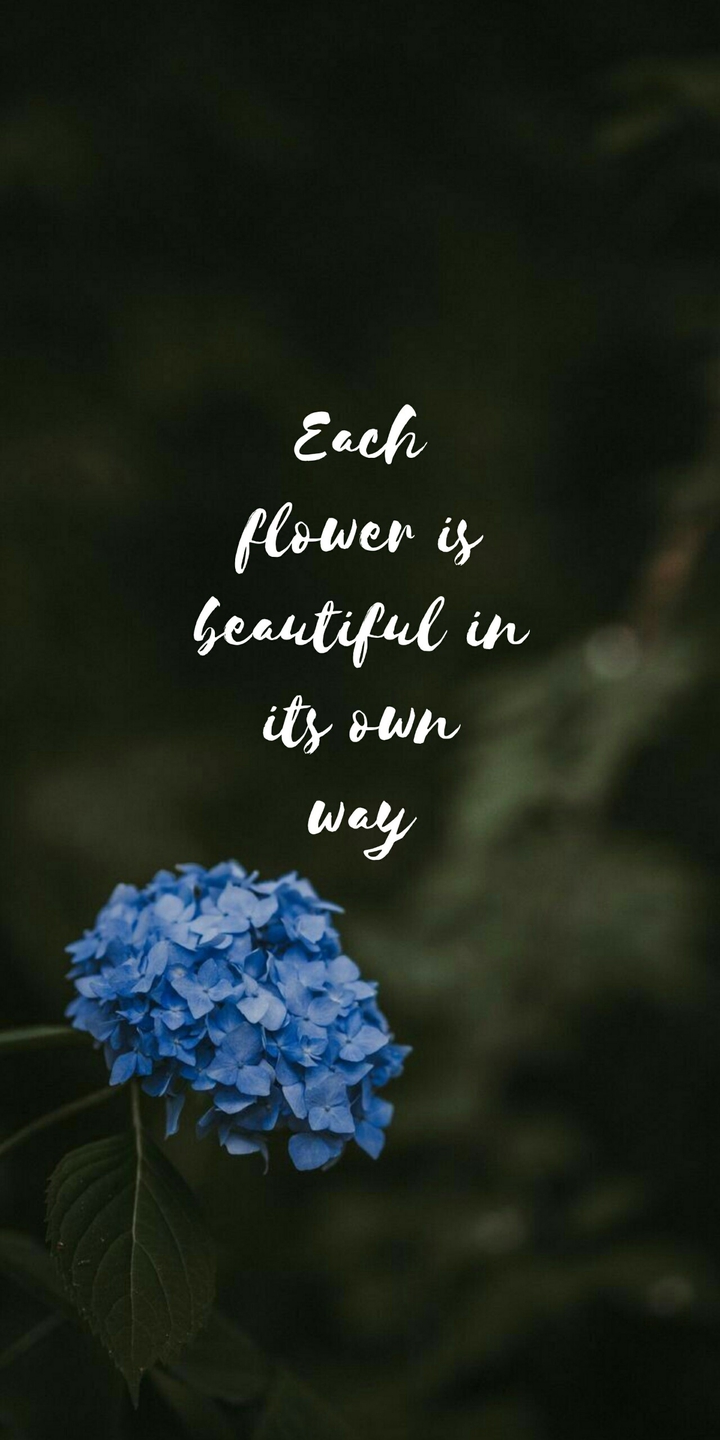 Quotes