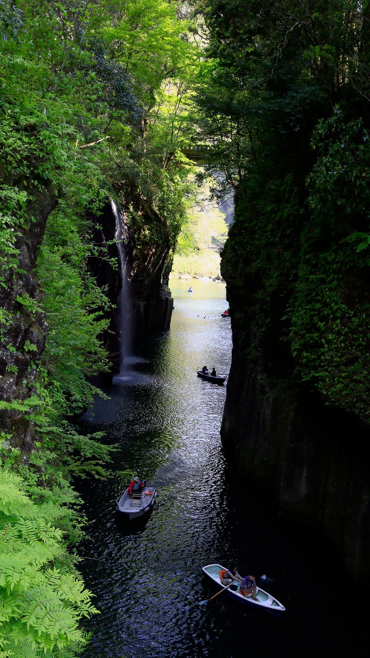 Narrow Path