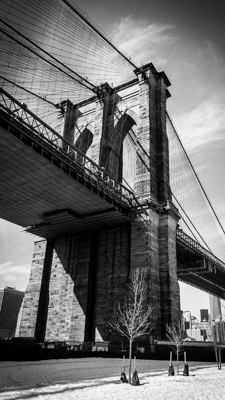 Bridge