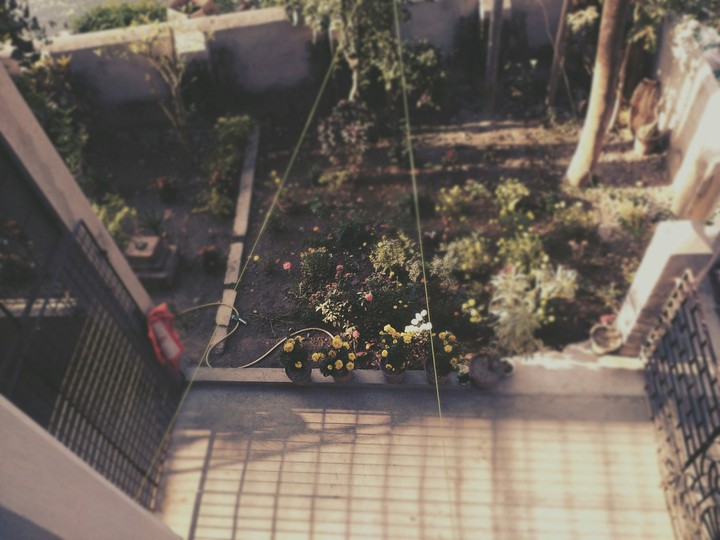 home garden