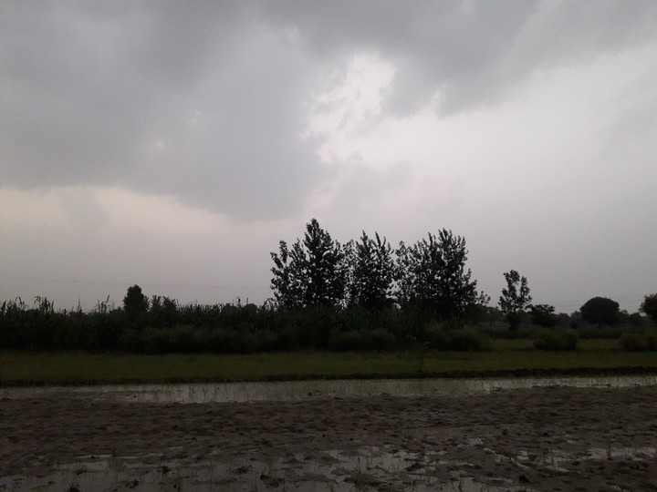 going to rain