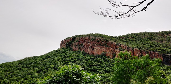 Nature calls
