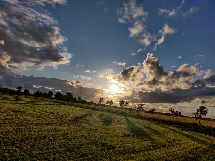 Schleswig Holstein
