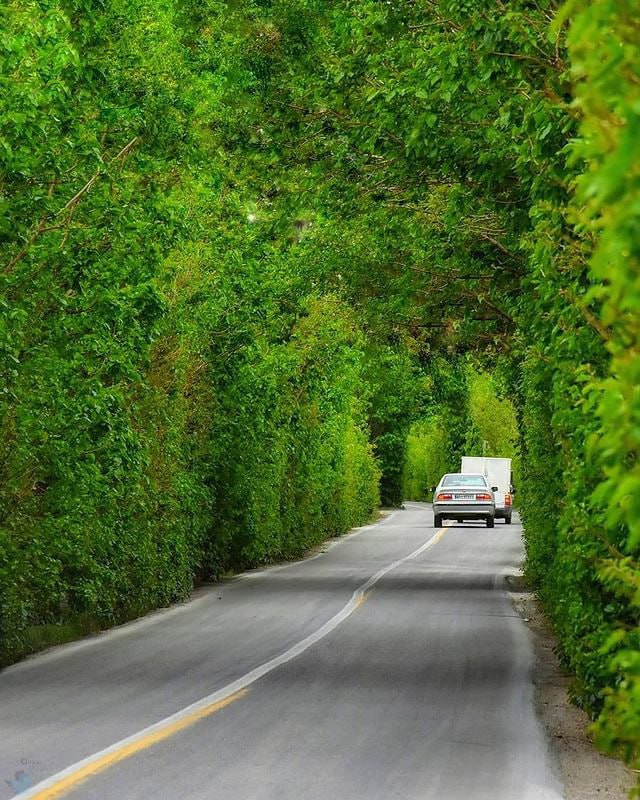 زیبا