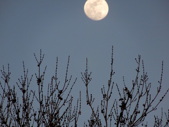moon gazing