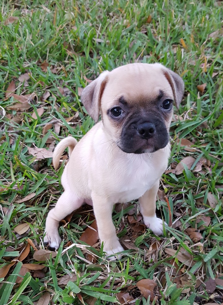 Fiona welcome home