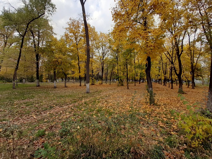 Autumn in Bishkek