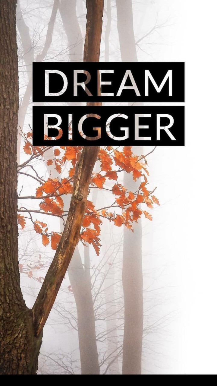 Dream bigger