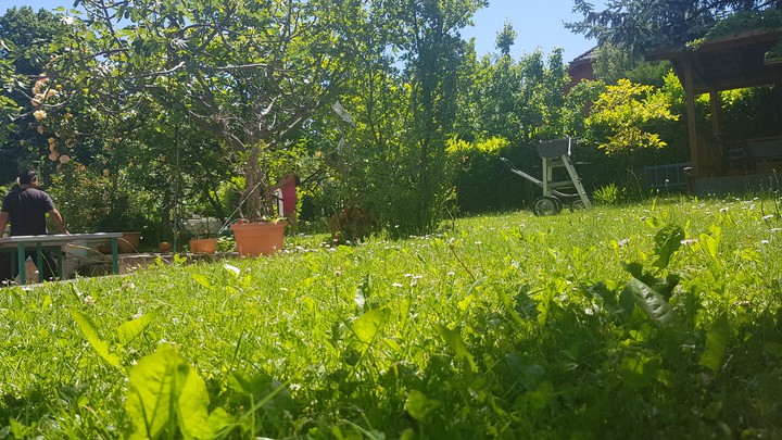 Au jardin