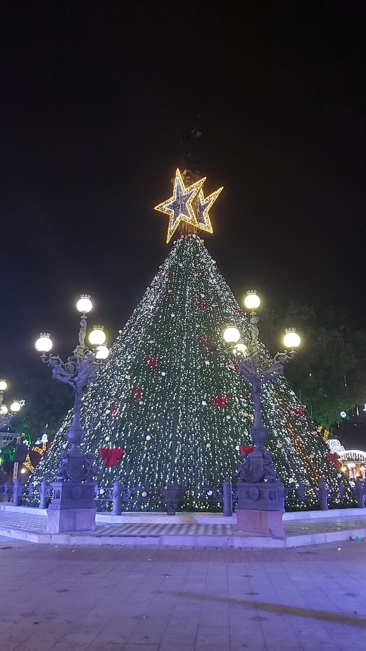 Christmas Tree