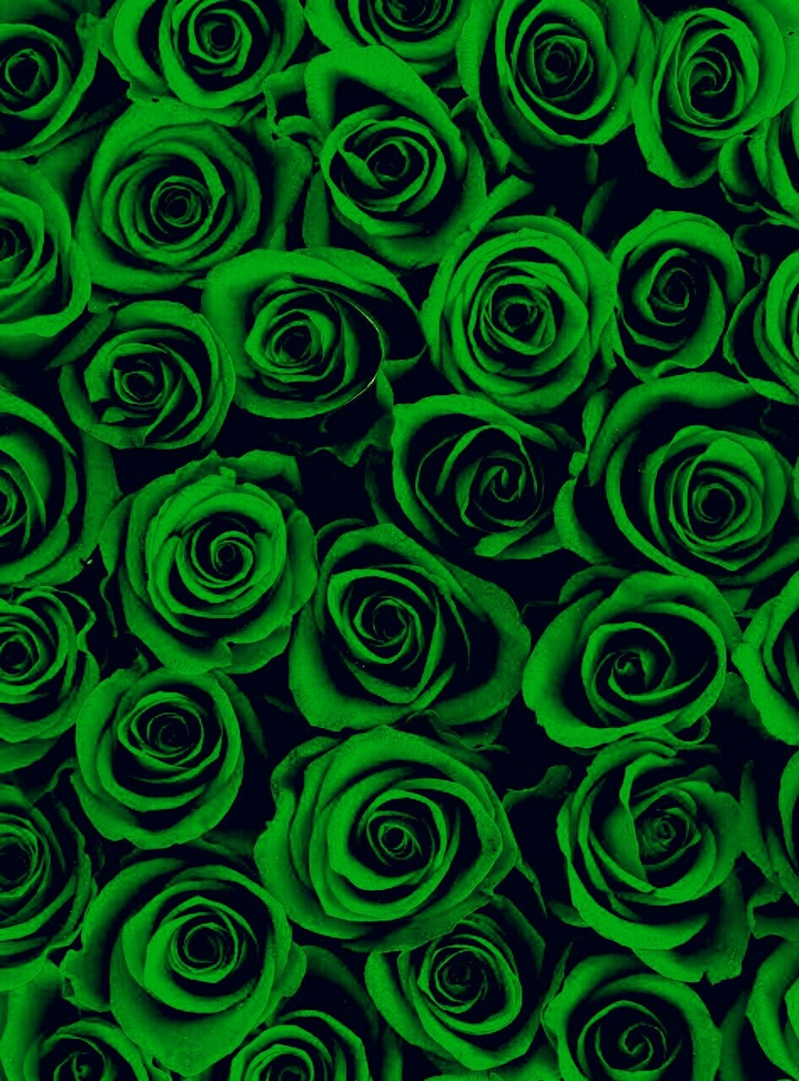 , flower pattern