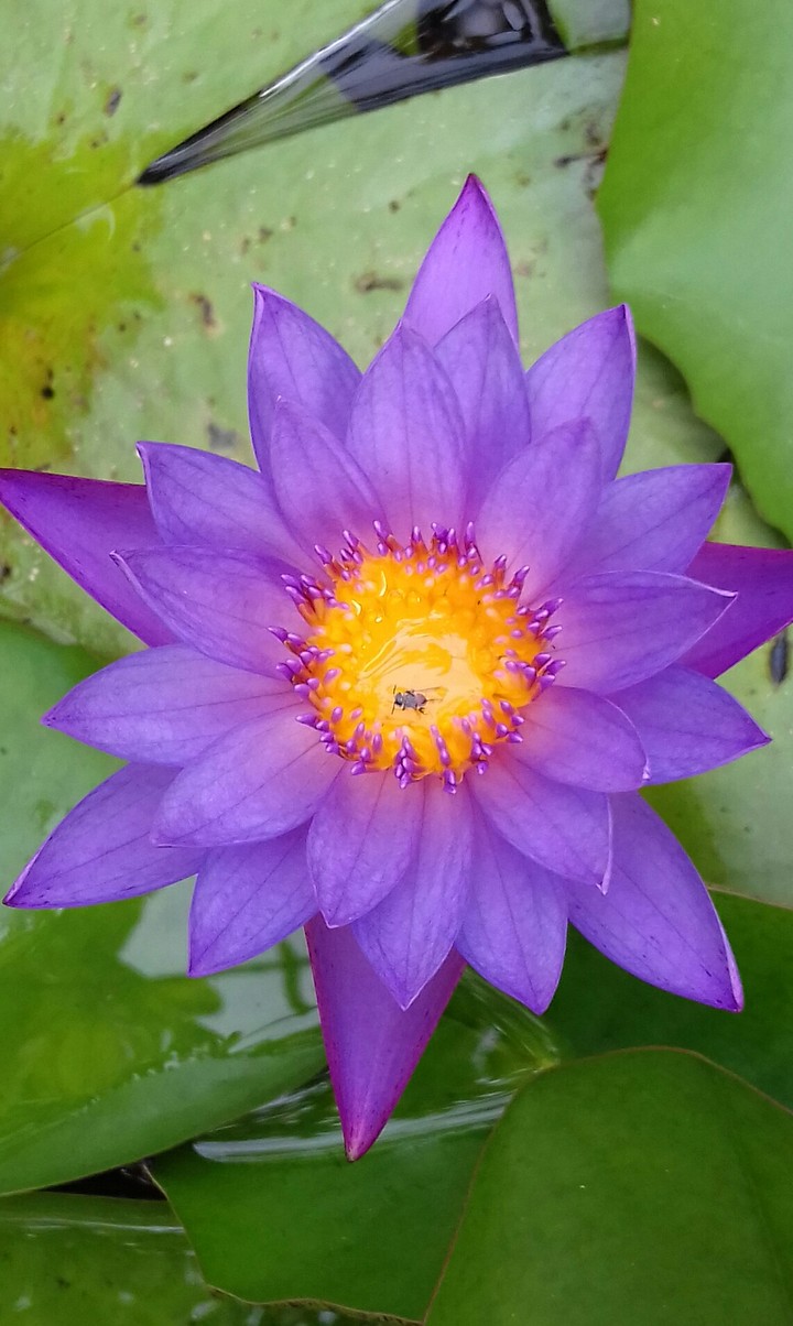 Nature has it's own contrast...